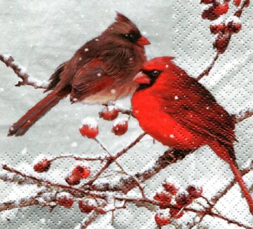 Салфетка 33*33 см Кардиналы на заснеженной ветке (Cardinal Birds on snowy Branch), Ti-Flair
