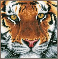 Tiger (Тигр), набор для вышивки крестом, Lanarte PN-0156104