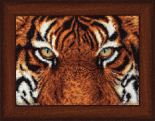 Тигр, набор для вышивки бисером Чарівна мить Б-055