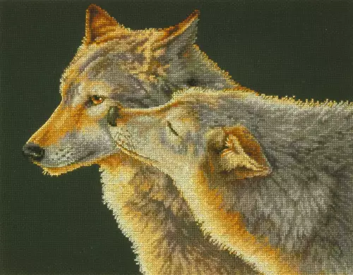 Набор для вышивки крестиком Wolf Kiss Dimensions 70-35283