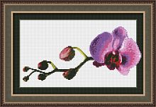Набор для вышивания Маленькая орхидея Юнона 0108