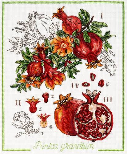 Набор для вышивки Ботанический батл – Гранат Alisena 1254