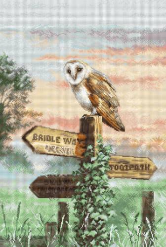 Набір для вишивки хрестиком Barn Owl Letistitch L8031